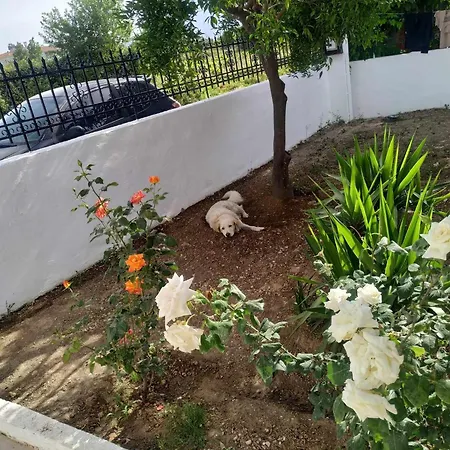 Only Sun Villa Papaggelaki Exterior photo