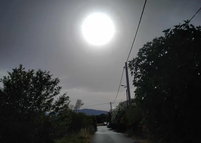 Only Sun