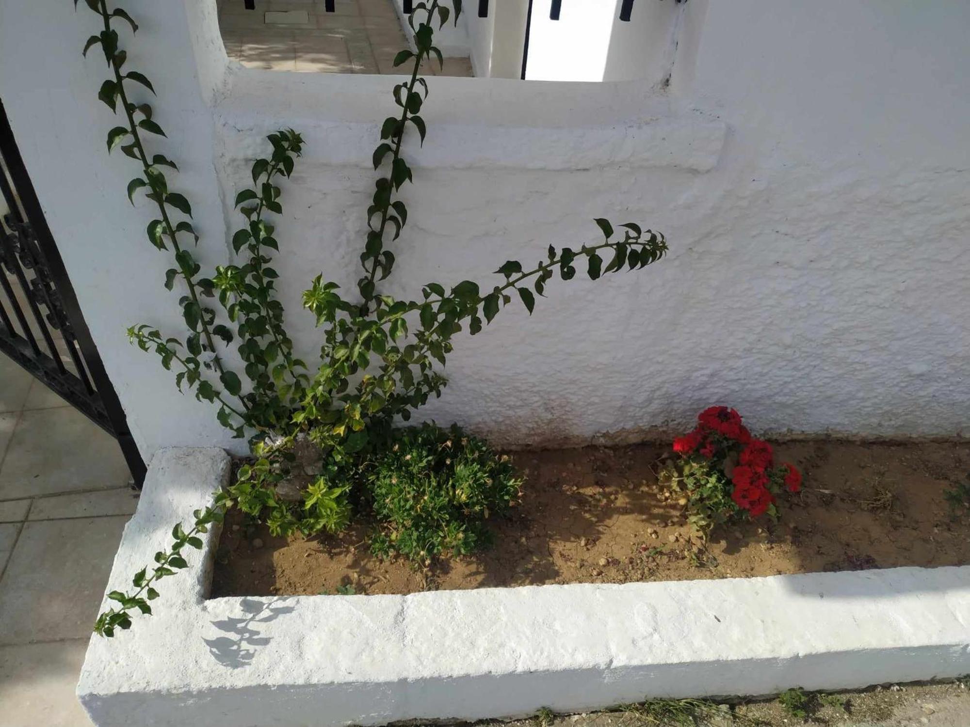 Holiday home Only Sun *